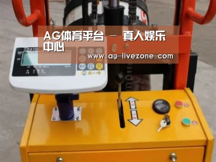 AG体育案例展示三