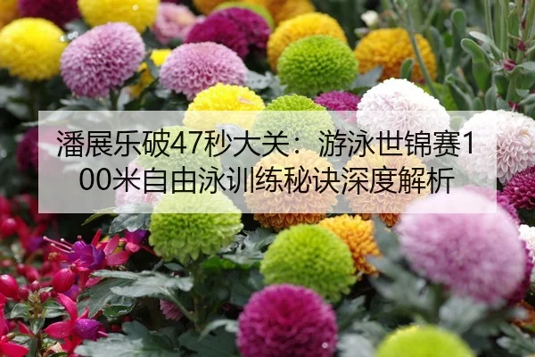 潘展乐破47秒大关：游泳世锦赛100米自由泳训练秘诀深度解析