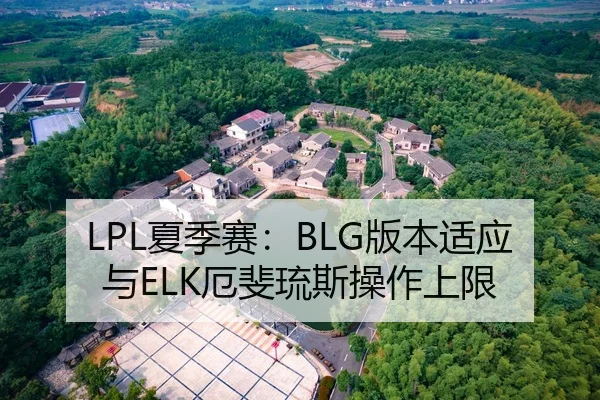 LPL夏季赛：BLG版本适应与ELK厄斐琉斯操作上限