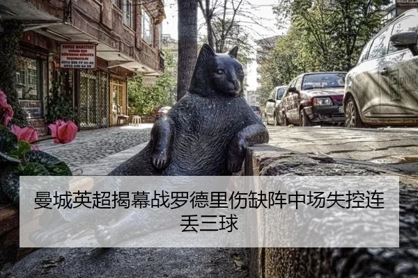 man-cheng-ying-chao-jie-mu-zhan-luo-de-li-shang-que-zhen-zhong-chang-shi-kong-lian-diu-san-qiu-3-101.jpg