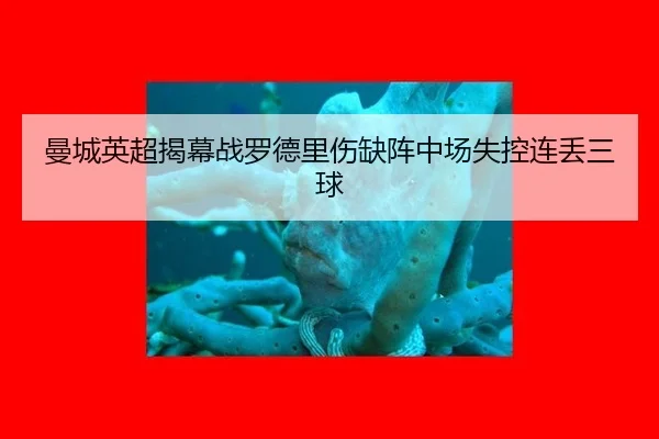 曼城英超揭幕战罗德里伤缺阵中场失控连丢三球