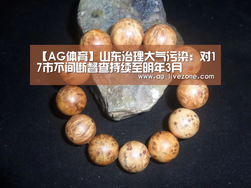 【AG体育】山东治理大气污染:对17市不间断督查持续至明年3月(图3) AG篮球