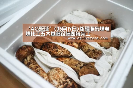 AG篮球