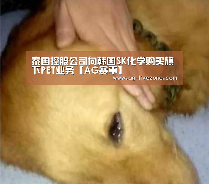 AG篮球