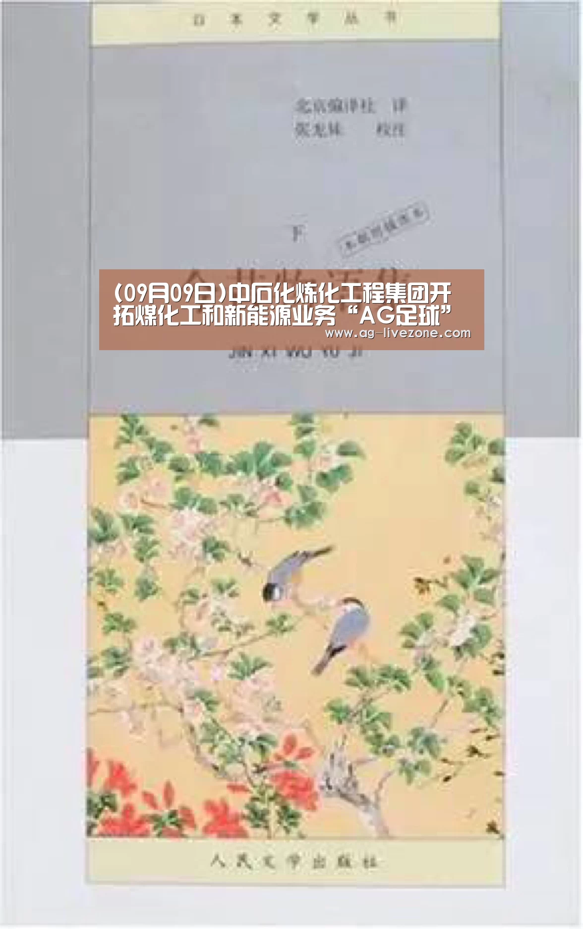 AG体育